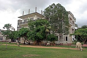 Tamochouse 2008