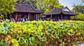 The Humble Administrator's Garden, Suzhou, China (37825378061)