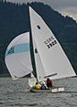 Thistle dinghy with skipper Terry Lettenmaier sailing downwind