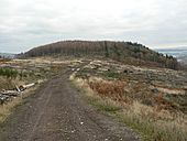 Track west of Knock Mary - geograph.org.uk - 81053