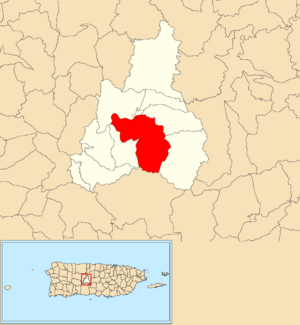 Location of Veguitas within the municipality of Jayuya shown in red