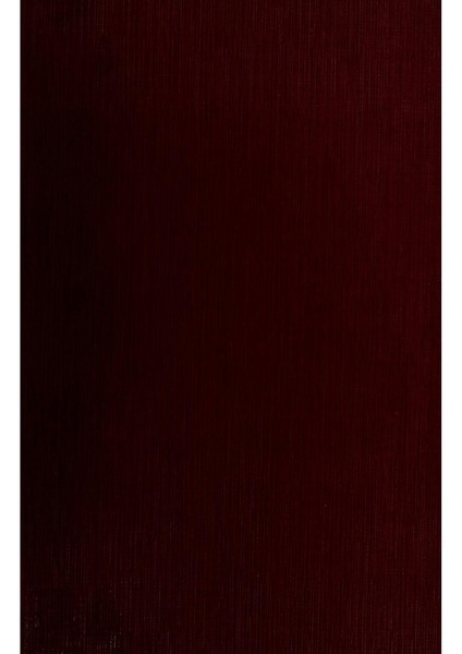 Vergleichende Lokalisationslehre der Grosshirnrinde in ihren Prinzipien dargestellt auf Grund des Zellenbaues.pdf