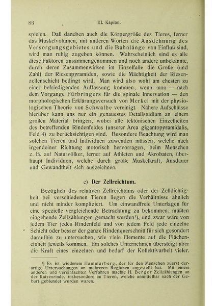 Vergleichende Lokalisationslehre der Grosshirnrinde in ihren Prinzipien dargestellt auf Grund des Zellenbaues.pdf