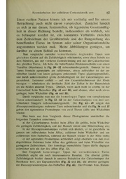 Vergleichende Lokalisationslehre der Grosshirnrinde in ihren Prinzipien dargestellt auf Grund des Zellenbaues.pdf