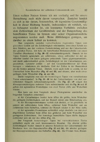 Vergleichende Lokalisationslehre der Grosshirnrinde in ihren Prinzipien dargestellt auf Grund des Zellenbaues.pdf