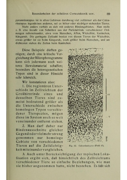 Vergleichende Lokalisationslehre der Grosshirnrinde in ihren Prinzipien dargestellt auf Grund des Zellenbaues.pdf