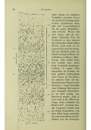 Vergleichende Lokalisationslehre der Grosshirnrinde in ihren Prinzipien dargestellt auf Grund des Zellenbaues.pdf