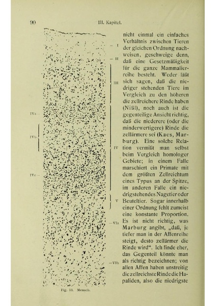 Vergleichende Lokalisationslehre der Grosshirnrinde in ihren Prinzipien dargestellt auf Grund des Zellenbaues.pdf