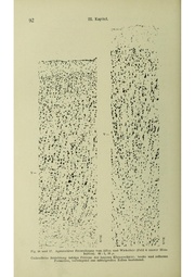 Vergleichende Lokalisationslehre der Grosshirnrinde in ihren Prinzipien dargestellt auf Grund des Zellenbaues.pdf