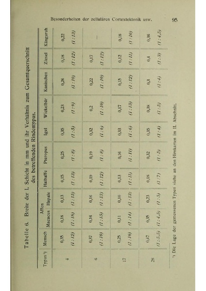 Vergleichende Lokalisationslehre der Grosshirnrinde in ihren Prinzipien dargestellt auf Grund des Zellenbaues.pdf