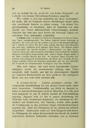 Vergleichende Lokalisationslehre der Grosshirnrinde in ihren Prinzipien dargestellt auf Grund des Zellenbaues.pdf