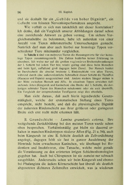 Vergleichende Lokalisationslehre der Grosshirnrinde in ihren Prinzipien dargestellt auf Grund des Zellenbaues.pdf