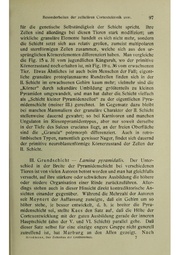 Vergleichende Lokalisationslehre der Grosshirnrinde in ihren Prinzipien dargestellt auf Grund des Zellenbaues.pdf