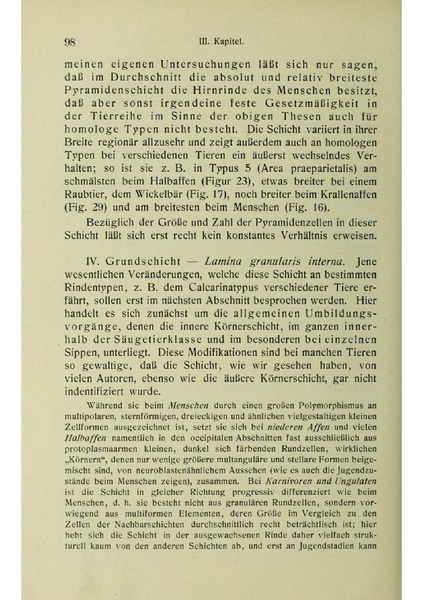 Vergleichende Lokalisationslehre der Grosshirnrinde in ihren Prinzipien dargestellt auf Grund des Zellenbaues.pdf