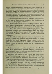 Vergleichende Lokalisationslehre der Grosshirnrinde in ihren Prinzipien dargestellt auf Grund des Zellenbaues.pdf