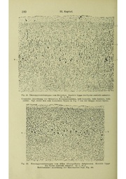 Vergleichende Lokalisationslehre der Grosshirnrinde in ihren Prinzipien dargestellt auf Grund des Zellenbaues.pdf