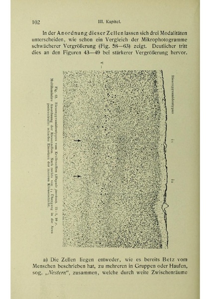 Vergleichende Lokalisationslehre der Grosshirnrinde in ihren Prinzipien dargestellt auf Grund des Zellenbaues.pdf