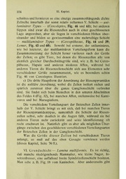 Vergleichende Lokalisationslehre der Grosshirnrinde in ihren Prinzipien dargestellt auf Grund des Zellenbaues.pdf