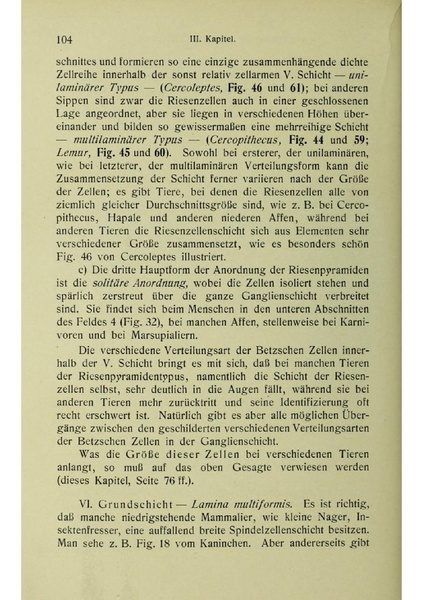 Vergleichende Lokalisationslehre der Grosshirnrinde in ihren Prinzipien dargestellt auf Grund des Zellenbaues.pdf