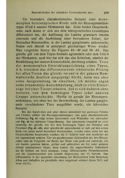 Vergleichende Lokalisationslehre der Grosshirnrinde in ihren Prinzipien dargestellt auf Grund des Zellenbaues.pdf