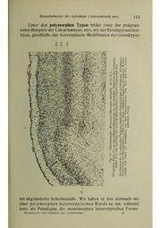Vergleichende Lokalisationslehre der Grosshirnrinde in ihren Prinzipien dargestellt auf Grund des Zellenbaues.pdf