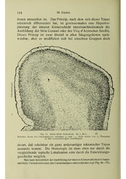 Vergleichende Lokalisationslehre der Grosshirnrinde in ihren Prinzipien dargestellt auf Grund des Zellenbaues.pdf