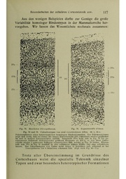 Vergleichende Lokalisationslehre der Grosshirnrinde in ihren Prinzipien dargestellt auf Grund des Zellenbaues.pdf