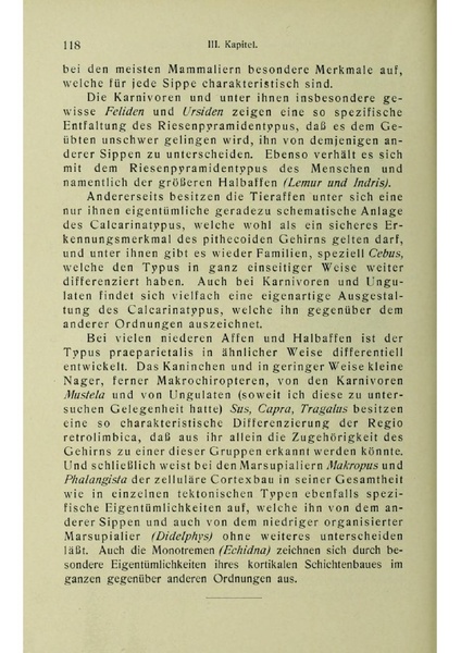 Vergleichende Lokalisationslehre der Grosshirnrinde in ihren Prinzipien dargestellt auf Grund des Zellenbaues.pdf
