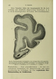 Vergleichende Lokalisationslehre der Grosshirnrinde in ihren Prinzipien dargestellt auf Grund des Zellenbaues.pdf