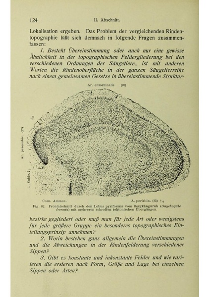 Vergleichende Lokalisationslehre der Grosshirnrinde in ihren Prinzipien dargestellt auf Grund des Zellenbaues.pdf