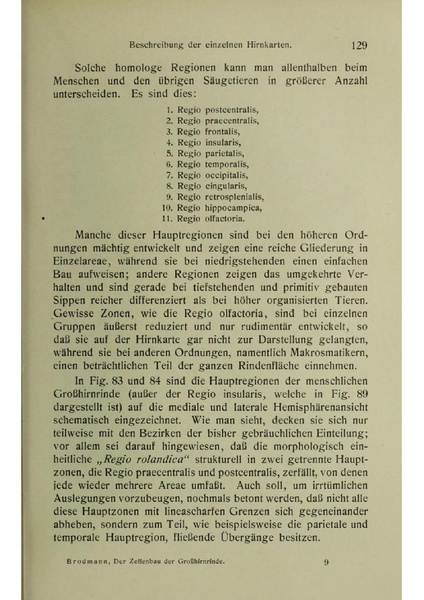 Vergleichende Lokalisationslehre der Grosshirnrinde in ihren Prinzipien dargestellt auf Grund des Zellenbaues.pdf