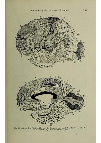 Vergleichende Lokalisationslehre der Grosshirnrinde in ihren Prinzipien dargestellt auf Grund des Zellenbaues.pdf