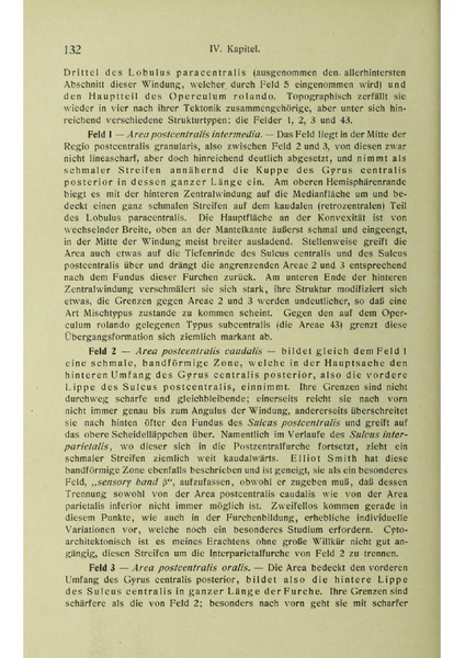 Vergleichende Lokalisationslehre der Grosshirnrinde in ihren Prinzipien dargestellt auf Grund des Zellenbaues.pdf