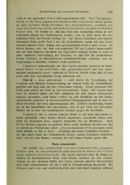 Vergleichende Lokalisationslehre der Grosshirnrinde in ihren Prinzipien dargestellt auf Grund des Zellenbaues.pdf