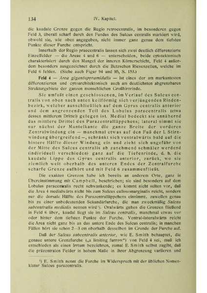 Vergleichende Lokalisationslehre der Grosshirnrinde in ihren Prinzipien dargestellt auf Grund des Zellenbaues.pdf