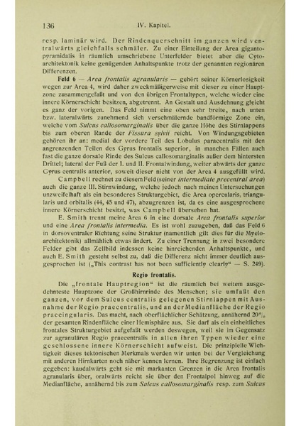 Vergleichende Lokalisationslehre der Grosshirnrinde in ihren Prinzipien dargestellt auf Grund des Zellenbaues.pdf