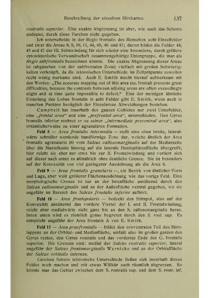Vergleichende Lokalisationslehre der Grosshirnrinde in ihren Prinzipien dargestellt auf Grund des Zellenbaues.pdf
