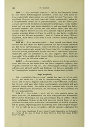 Vergleichende Lokalisationslehre der Grosshirnrinde in ihren Prinzipien dargestellt auf Grund des Zellenbaues.pdf