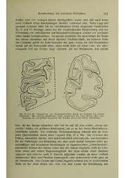 Vergleichende Lokalisationslehre der Grosshirnrinde in ihren Prinzipien dargestellt auf Grund des Zellenbaues.pdf