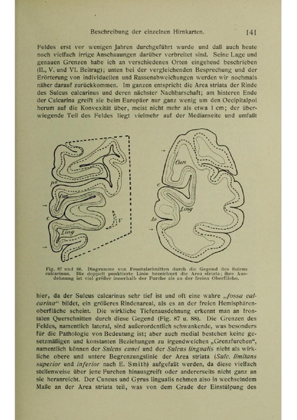 Vergleichende Lokalisationslehre der Grosshirnrinde in ihren Prinzipien dargestellt auf Grund des Zellenbaues.pdf