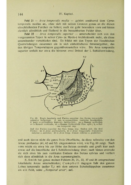 Vergleichende Lokalisationslehre der Grosshirnrinde in ihren Prinzipien dargestellt auf Grund des Zellenbaues.pdf