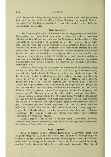 Vergleichende Lokalisationslehre der Grosshirnrinde in ihren Prinzipien dargestellt auf Grund des Zellenbaues.pdf