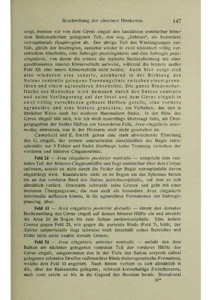 Vergleichende Lokalisationslehre der Grosshirnrinde in ihren Prinzipien dargestellt auf Grund des Zellenbaues.pdf