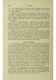 Vergleichende Lokalisationslehre der Grosshirnrinde in ihren Prinzipien dargestellt auf Grund des Zellenbaues.pdf