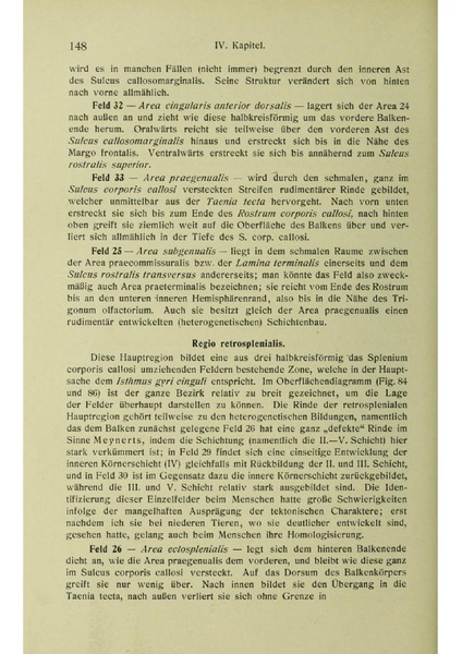 Vergleichende Lokalisationslehre der Grosshirnrinde in ihren Prinzipien dargestellt auf Grund des Zellenbaues.pdf