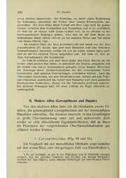 Vergleichende Lokalisationslehre der Grosshirnrinde in ihren Prinzipien dargestellt auf Grund des Zellenbaues.pdf