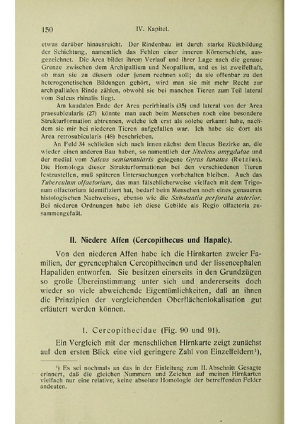Vergleichende Lokalisationslehre der Grosshirnrinde in ihren Prinzipien dargestellt auf Grund des Zellenbaues.pdf