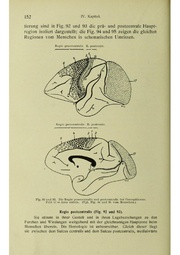 Vergleichende Lokalisationslehre der Grosshirnrinde in ihren Prinzipien dargestellt auf Grund des Zellenbaues.pdf