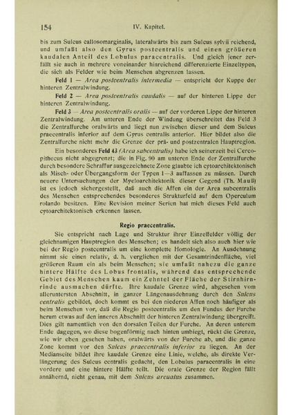 Vergleichende Lokalisationslehre der Grosshirnrinde in ihren Prinzipien dargestellt auf Grund des Zellenbaues.pdf