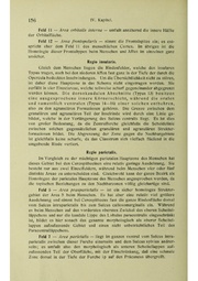 Vergleichende Lokalisationslehre der Grosshirnrinde in ihren Prinzipien dargestellt auf Grund des Zellenbaues.pdf